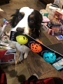 Zoey_X-MasGifts_2020 (1)